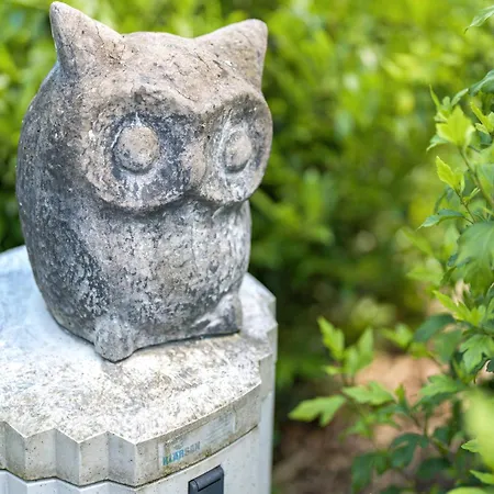 Apartamento 3 Oppenau